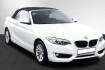 BMW Série 2 Cabriolet  Serie 2 cabriolet  218d cabrio advantage