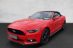 Ford Mustang Convertible  Mustang convertible basis