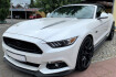 Ford Mustang Convertible  Mustang convertible 5.0 gt
