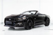 Ford Mustang Convertible  Mustang convertible 5.0 gt