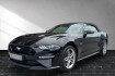 Ford Mustang Convertible  Mustang convertible  mustang gt convertible