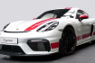Porsche Cayman GT4  718 cayman gt4