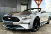 Ford Mustang Shelby GT500  Mustang shelby gt500  mustang shelby gt 500