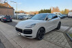 Porsche Cayenne Platinum Edition coupe platinum edition*luft*hud*pano*360