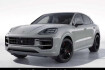 Porsche Cayenne Platinum Edition s e hybrid coupe massagesitze shz hinten