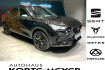 Cupra Formentor Tribe Edition vz tribe edition 2.0tsi dsg +top view