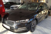 Skoda Octavia First Edition style 2.0 tdi dpf ahk schwenkbar lenkradheizung