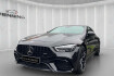 Mercedes AMG GT AMG Sonderedition benz amg gt  benz amg gt 43 4m+ aero paket standh. burmest. memory