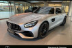 Mercedes AMG GT  benz amg gt  benz amg gt  amg gt pano*abgas*burm*comand*trackpace