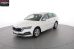 Skoda Octavia Style octavia combi 2.0 tdi style massage ahk memory