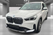 BMW X1  30 xdrive pano premium widescreen navi r.cam