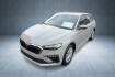 Skoda Scala Essence 1.0 tsi dsg essence led einparkhilfe apple carp?