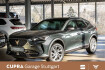 Cupra Formentor  2.0 tdi dsg 110 kw