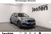 Skoda Kamiq Tour tour 1.0tsi matrix led digital cockpit fahr ass.