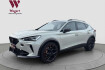 Cupra Formentor Taiga Grey vz5 taiga grey 4drive*beats*acc*carpla