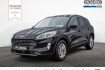 Ford Kuga Titanium X titanium x kamera navi acc hud b&o led