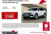 Audi Q4 e-tron  Q4 e tron sportback 45 lm19 navi+ sports. shz pdc gra