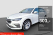 Skoda Scala Selection 1.0 tsi dsg selection navi rfk matrix led pdc matr