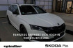 Skoda Octavia Style combi style 2.0 tdi dsg / pano  standh