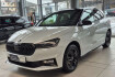 Skoda Fabia  1.0 tsi monte carlo *winterrader*