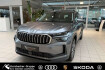 Skoda Kodiaq Selection selection 2.0 tdi 4×4 dsg 7 sitzer navi
