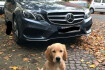 Mercedes Classe E Avantgarde Benz e 500 t amg line