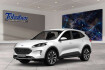 Ford Kuga ST-Line X 1.5 st line hud + wipa + matrix led