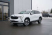 Skoda Kodiaq Selection 2.0 tdi 4×4 *leder*matrix*acc*360 *