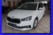 Skoda Fabia Selection 1.0 dsg design pdc shz led sml bt dab sr klima usb