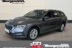 Skoda Octavia First Edition combi style 2 0 apple carplay ? ruckfahrkam. ? sit