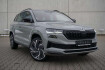 Skoda Karoq Sport 1.5tsi dsg sportline ahk navi matrix leder 19?