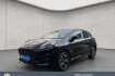 Ford Puma ST 1.0 ecoboost hybrid aut. st line *navi*led*