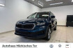 Skoda Karoq Tour tour