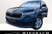 Skoda Kodiaq Ambition ambition automatik ahk led 8 fach bereift