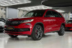 Skoda Kodiaq RS 2.0 rs 4×4 bi tdi 7 sitze virtual/led/ahk
