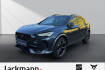 Cupra Formentor  2.0 vz 4drive *navi*led*kamera*eheck*