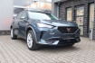 Cupra Formentor  basis led/automatik/navi/2xpdc