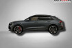 Audi RS Q8 Performance Rs q8 performance 4.0 tfsi 8 gang tiptronic quattro r?