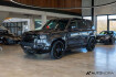 Land Rover Defender  110 p525 v8 capathian edition ahk pano