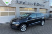 Skoda Karoq Sport style canton fernlicht spurhalte assistent carpla