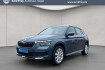 Skoda Kamiq Style 1.5 tsi dsg style
