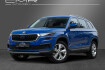 Skoda Kodiaq Tour tour family p. standheizung pano dcc 19?