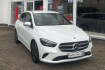 Mercedes Classe B  Benz b 200 b klasse b 200