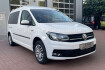 Volkswagen Caddy  maxi standh. reimo kuchenmodul hu/au neu