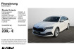 Skoda Octavia Style combi 2.0 tdi dsg style navi heckklappe