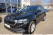 Skoda Karoq Selection karoq selection 1 5 tsi 150ps dsg *navi winterpa
