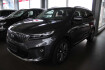 Kia Sorento Platinum 2.2 crdi platinum 4wd aut.(7 sitzer ahk)