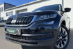 Skoda Kodiaq Drive 125 2.0 tdi 4×4 drive 191€ m.20% anz. ahk 4xshz lr h