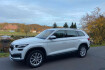 Skoda Kodiaq Style style 2.0 tdi 110 kw 4×4