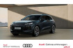 Audi Q6 e-tron  Q6 e tron performance matrix/headup/ahk